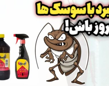 21b35f96-0a0c-40cc-a098-9901adead290