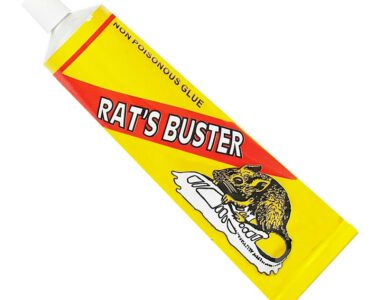 c44d13fb16f8f0845a2bc9db802da40091b14e11_1701859038